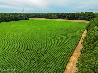 A ONE-OF-A-KIND-TROPHY FARM. GREAT LOCATION JUST 40 MINUTES TO - photo 10