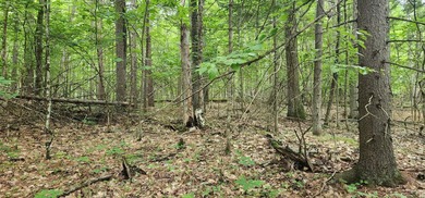 Beautiful building lot in Ausable Acres. Level building envelope - photo 2