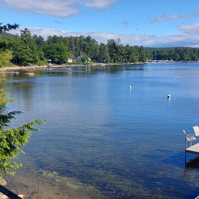SEBAGO- Rare 2.35-Acre Sebago Lake Waterfront Parcel with 218' - photo 12