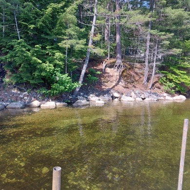SEBAGO- Rare 2.35-Acre Sebago Lake Waterfront Parcel with 218' - photo 14