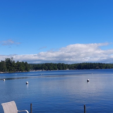 SEBAGO- Rare 2.35-Acre Sebago Lake Waterfront Parcel with 218' - photo 15