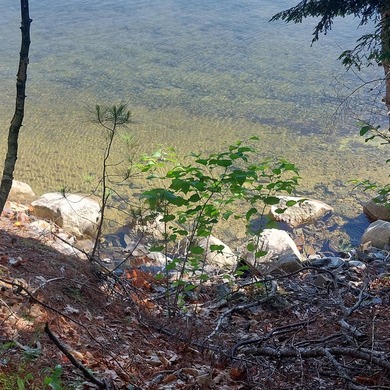 SEBAGO- Rare 2.35-Acre Sebago Lake Waterfront Parcel with 218' - photo 16