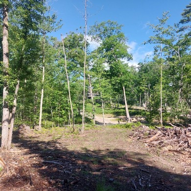 SEBAGO- Rare 2.35-Acre Sebago Lake Waterfront Parcel with 218' - photo 18