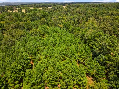 Discover the perfect blend of natural beauty and functional - photo 18