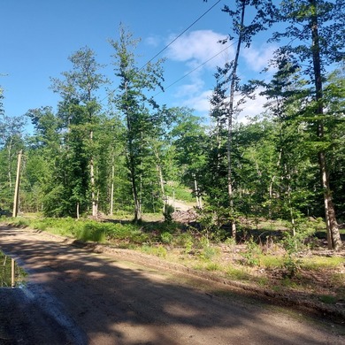 SEBAGO- Rare 2.35-Acre Sebago Lake Waterfront Parcel with 218' - photo 19