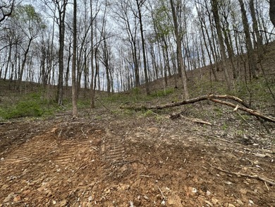 (private lake, pond, creek) Lot For Sale in London Kentucky