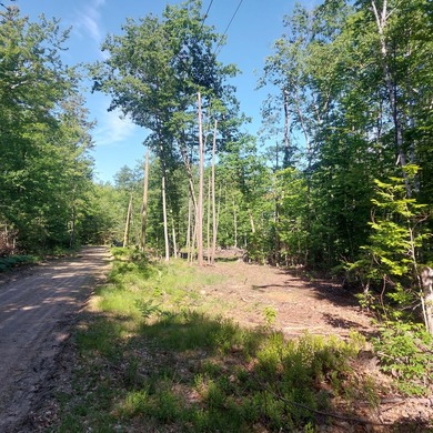 SEBAGO- Rare 2.35-Acre Sebago Lake Waterfront Parcel with 218' - photo 21
