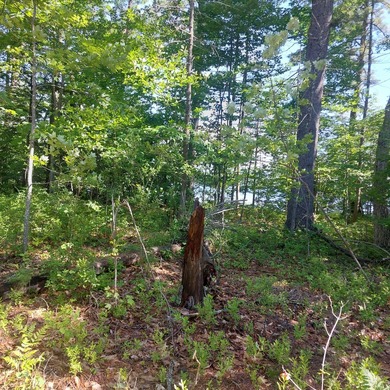 SEBAGO- Rare 2.35-Acre Sebago Lake Waterfront Parcel with 218' - photo 24
