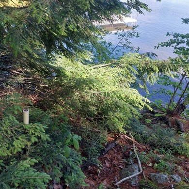 SEBAGO- Rare 2.35-Acre Sebago Lake Waterfront Parcel with 218' - photo 27
