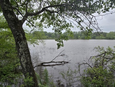 Lake Lot For Sale in New Lisbon, Wisconsin