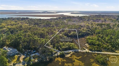 Located on Savannah's Southside, this single family home is set - photo 43