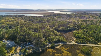 Located on Savannah's Southside, this single family home is set - photo 44