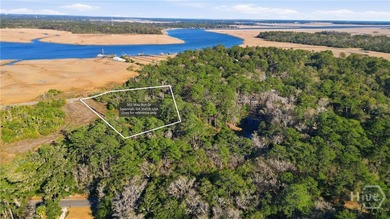Located on Savannah's Southside, this single family home is set - photo 49