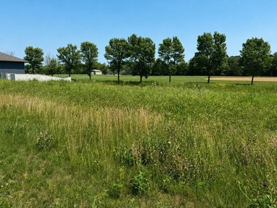 Moon Lake - Barron Lake Lot For Sale in Rice Lake Wisconsin