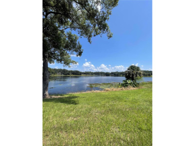 (private lake, pond, creek) Acreage For Sale in Fruitland Park Florida