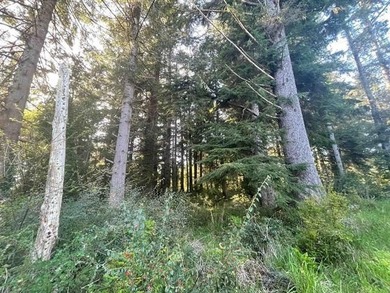 Discover a rare opportunity at the end of a quiet road near Lake - photo 14