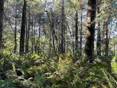 Discover a rare opportunity at the end of a quiet road near Lake - photo 15