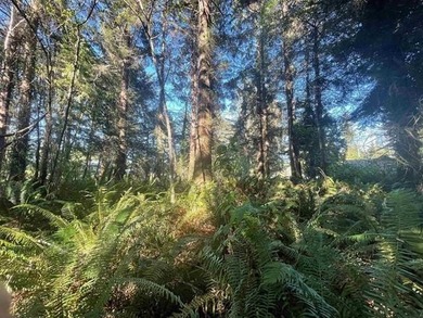 Discover a rare opportunity at the end of a quiet road near Lake - photo 17