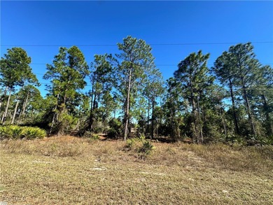 Lehigh Acres Area Lot For Sale in Lehigh Acres Florida