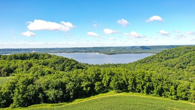 Lake Pepin  Acreage For Sale in Stockholm Wisconsin