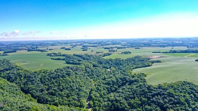 Exceptional ridgetop build site overlooking Lake Pepin! This - photo 5