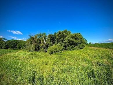 Exceptional ridgetop build site overlooking Lake Pepin! This - photo 6