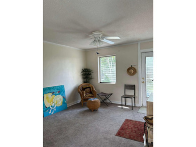 Coastal vacation home! Welcome to your perfect Florida retreat! - photo 6
