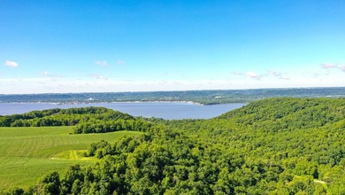 Exceptional ridgetop build site overlooking Lake Pepin! This - photo 8