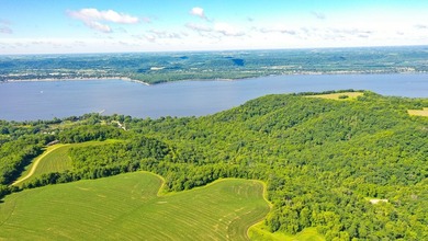 Exceptional ridgetop build site overlooking Lake Pepin! This - photo 10