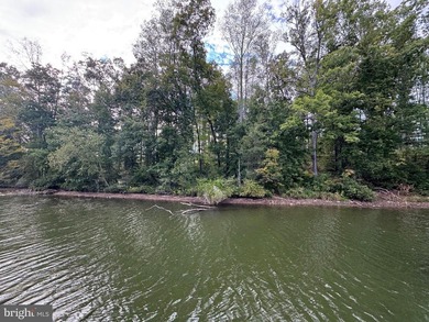Luxury waterfront living awaits in this to-be-built custom - photo 40