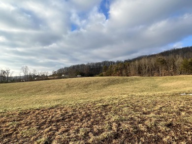 (private lake, pond, creek) Lot For Sale in London Kentucky