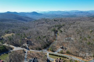 Tucked away on 3.7 private wooded acres, 204 Mountain Vista Dr - photo 42
