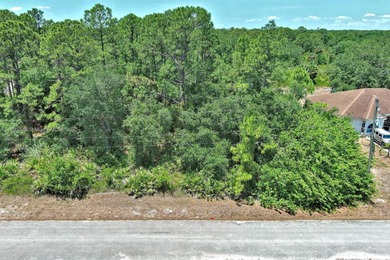 Lehigh Acres Area Lot For Sale in Lehigh Acres Florida