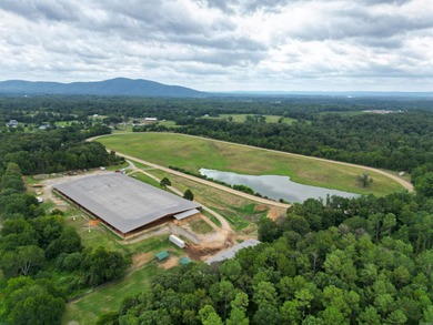 This one is a one-of-a-kind in Arkansas. It has a full sized