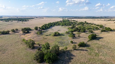 This 470+/- acre Rice County, Kansas property just 1 mile from - photo 3