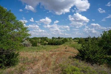 This 470+/- acre Rice County, Kansas property just 1 mile from - photo 8