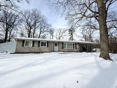 Swains Lake Home For Sale in Concord Michigan