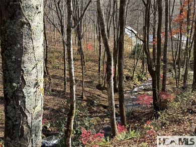 (private lake, pond, coastal) Home For Sale in Sylva North Carolina