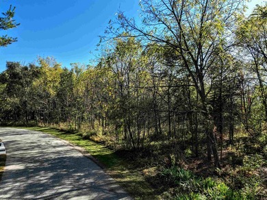 Bring your house plans! 3 lots to choose from. Country like feel - photo 15