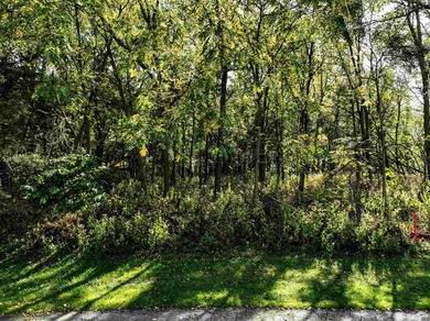 Bring your house plans! 3 lots to choose from. Country like feel - photo 18