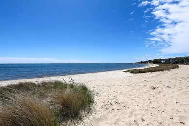 Charming Ranch-Style Living with Deeded Beach & Boating Rights - photo 2