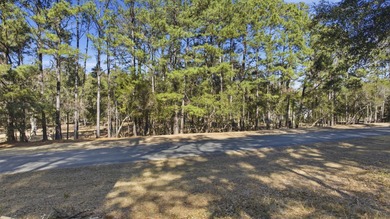 Waccamaw River Lot Sale Pending in Pawleys Island South Carolina