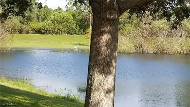 No HOAs with fees or deed restrictions or CDDs. Not on the North - photo 32