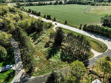 Bring your house plans! 3 lots to choose from. Country like feel - photo 33