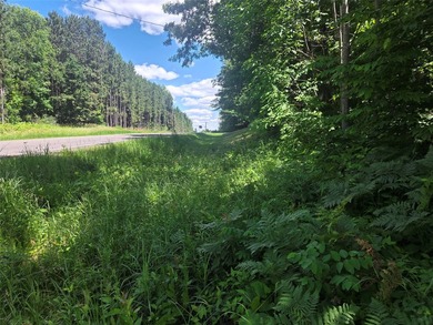 Lake of the Woods Acreage For Sale in Comstock Wisconsin