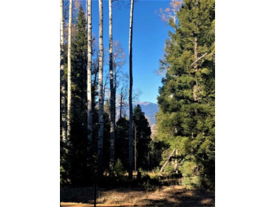 Lake Lot Off Market in Angel Fire, New Mexico