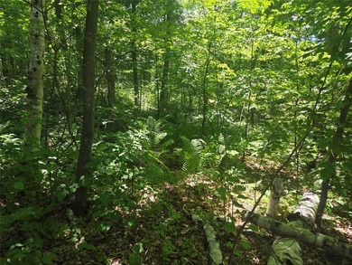 Additional listing photo 1