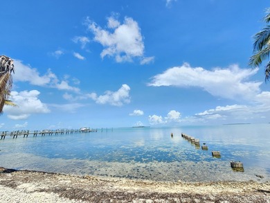 BEING SOLD W/ 54 SUNSET RD!  MLS#: 620256 - 2 Lots w  200' of w/ - photo 44