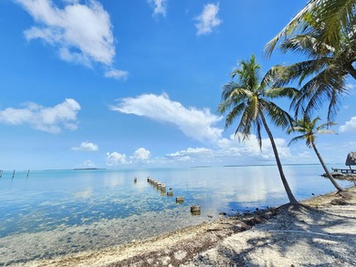 BEING SOLD W/ 54 SUNSET RD!  MLS#: 620256 - 2 Lots w  200' of w/ - photo 45