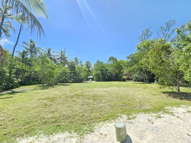 BEING SOLD W/ 54 SUNSET RD!  MLS#: 620256 - 2 Lots w  200' of w/ - photo 46